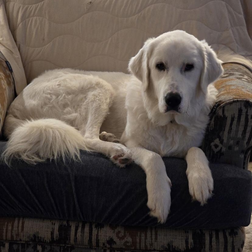 Elsa Ask to Meet!! In Foster!!