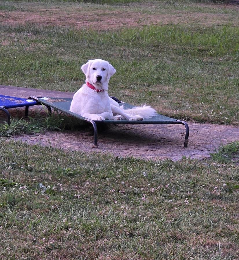 Elsa Ask to Meet!! In Foster!!