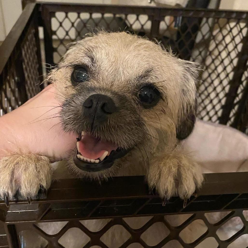 Carol Lina thumbnail 2