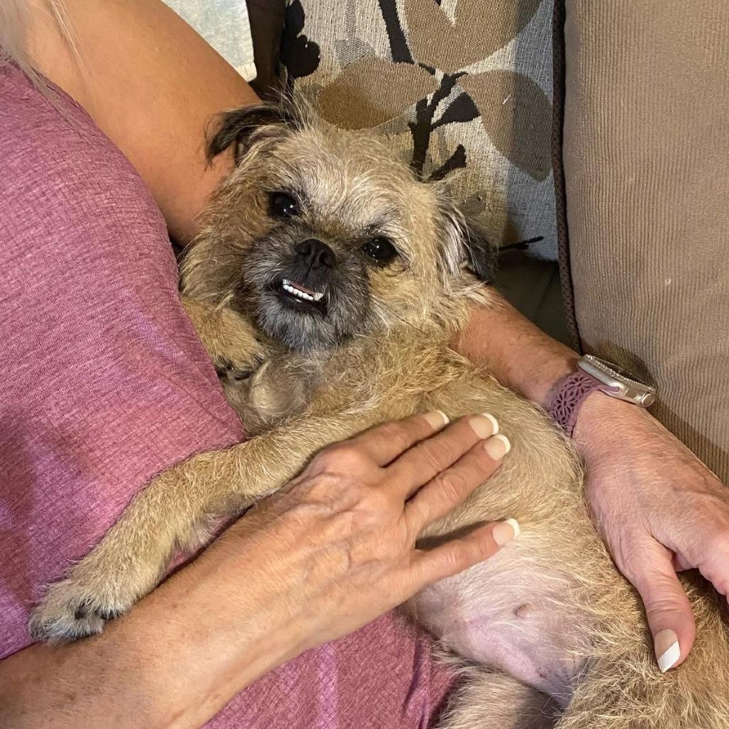 Carol Lina thumbnail 3