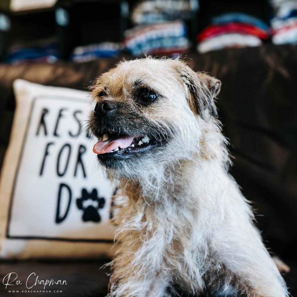 Carol Lina thumbnail 4