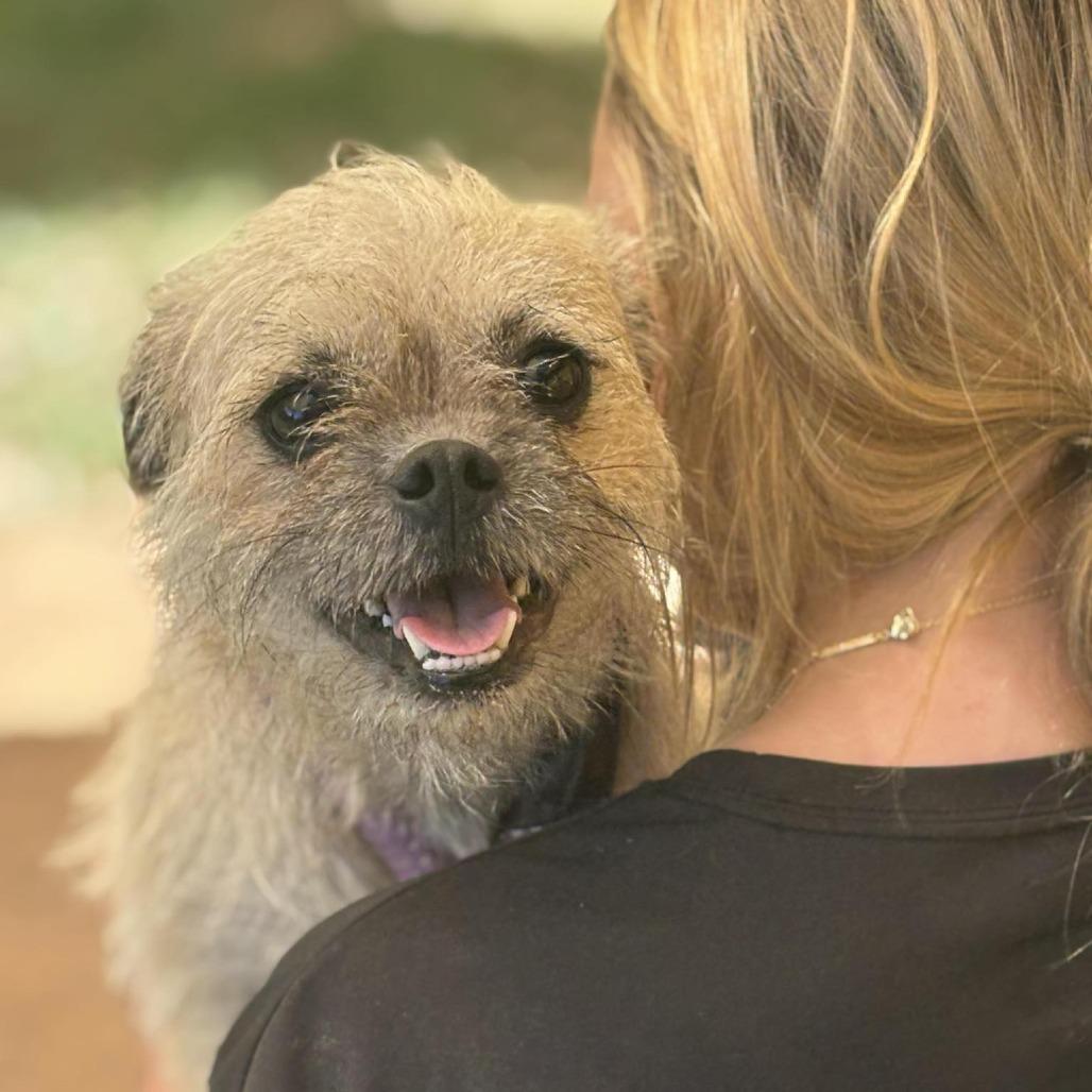 Carol Lina thumbnail 5