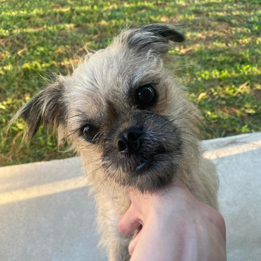 Carol Lina thumbnail 6