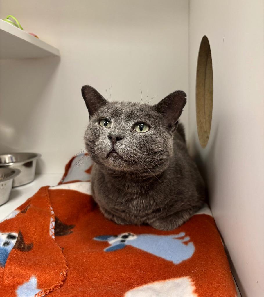 Yuki — thumbnail 2