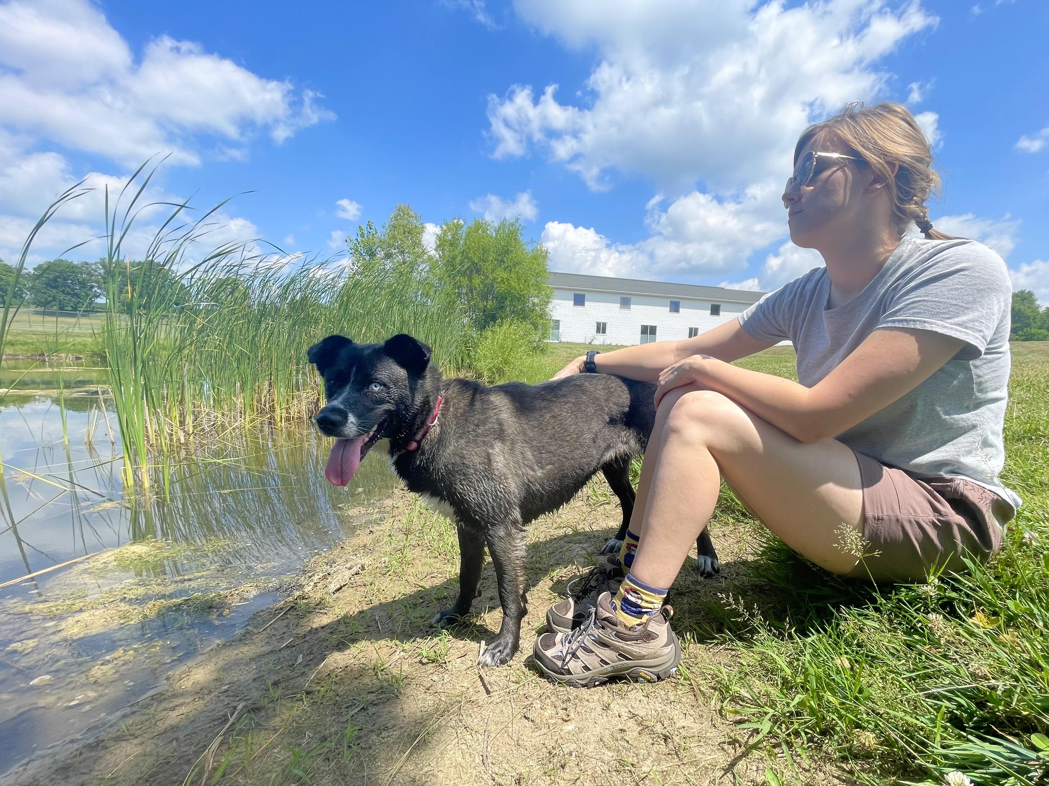 Enlarge Bitzy, an adoptable mixed breed in Lake Odessa, MI image 3/6