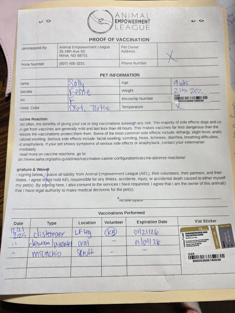 Sally, a Adopted mixed breed in Minot, ND image 1/3