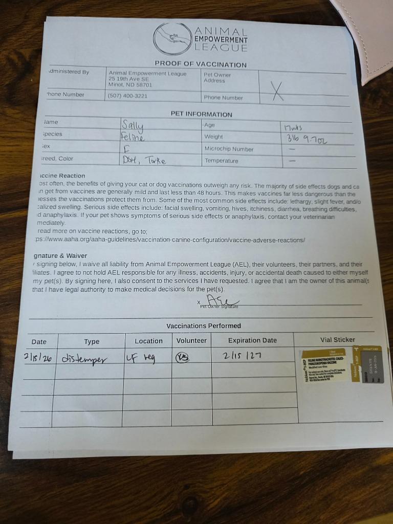 Sally, a Adopted mixed breed in Minot, ND image 3/3