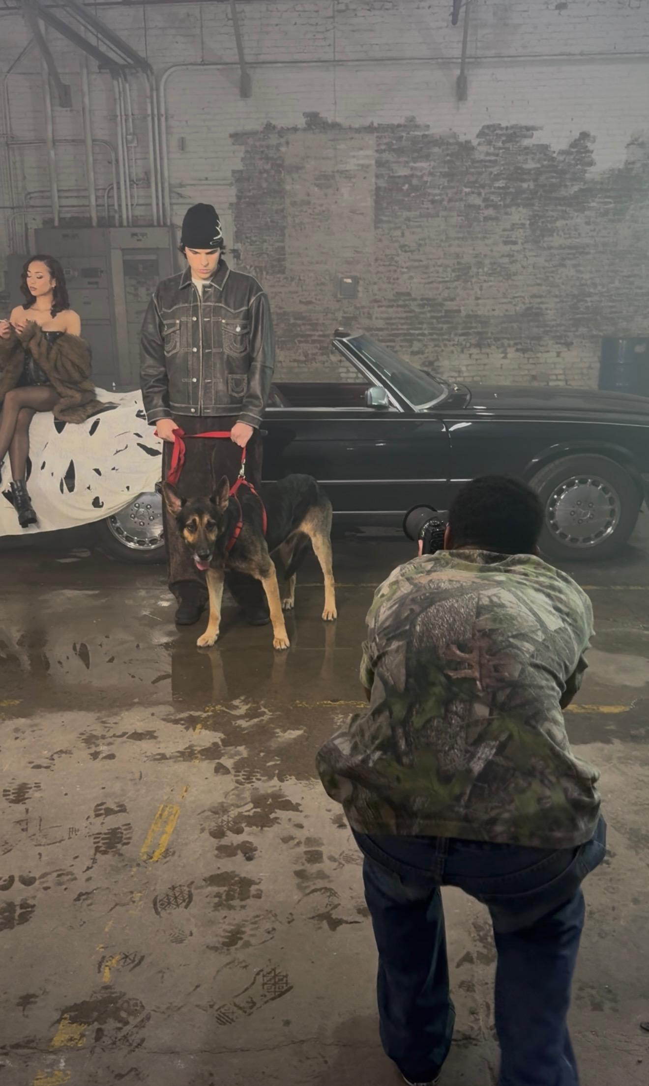 Enlarge Myles, a ADOPTABLE German Shepherd Dog in Frazier Park, CA image 4/6
