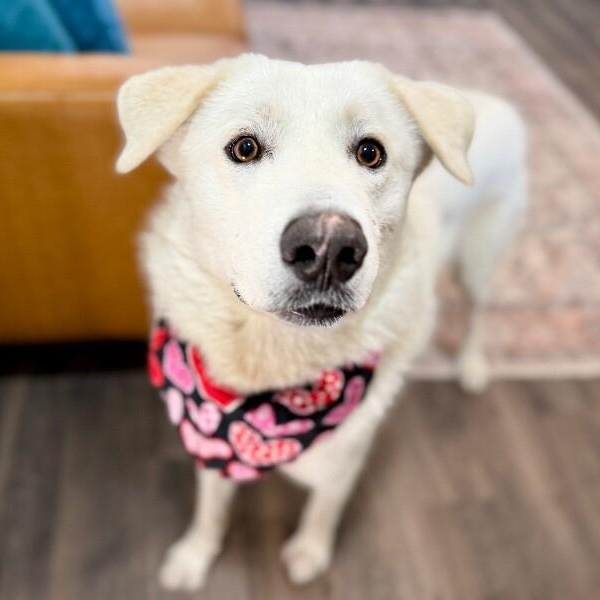 Benny Buster Zero Chaos Club — thumbnail 5