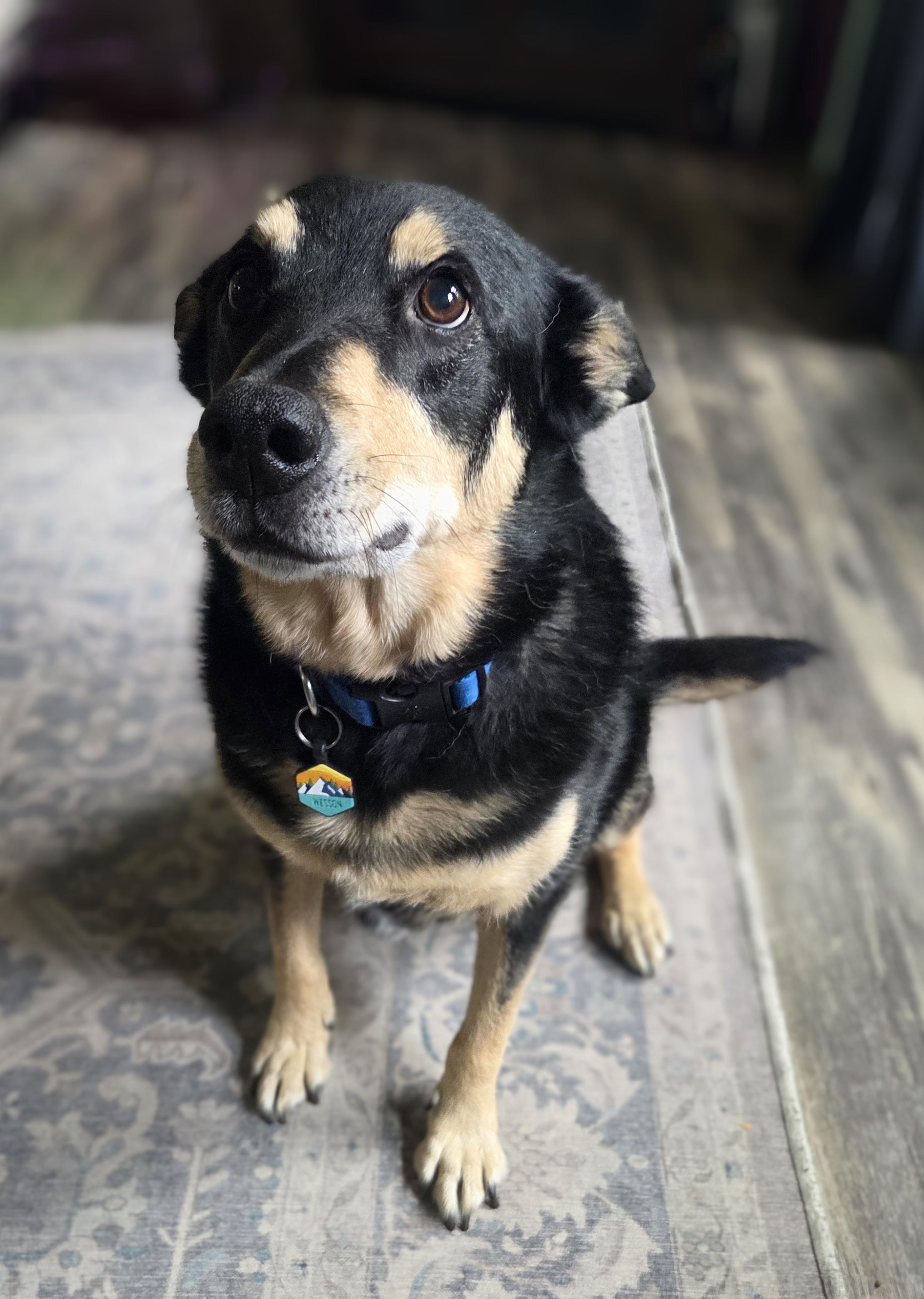 COURTESY POST - Wesson - Richfield, WI