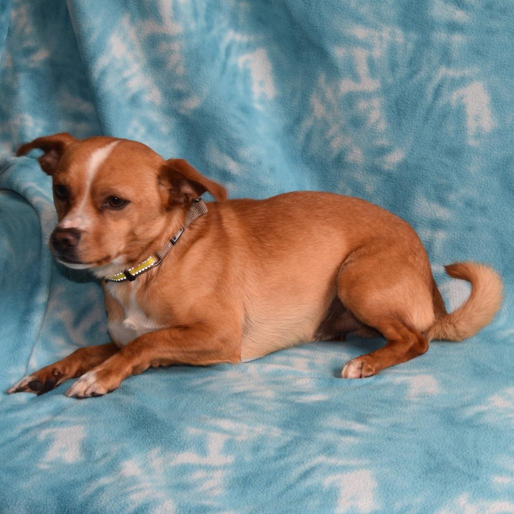 Titus photo