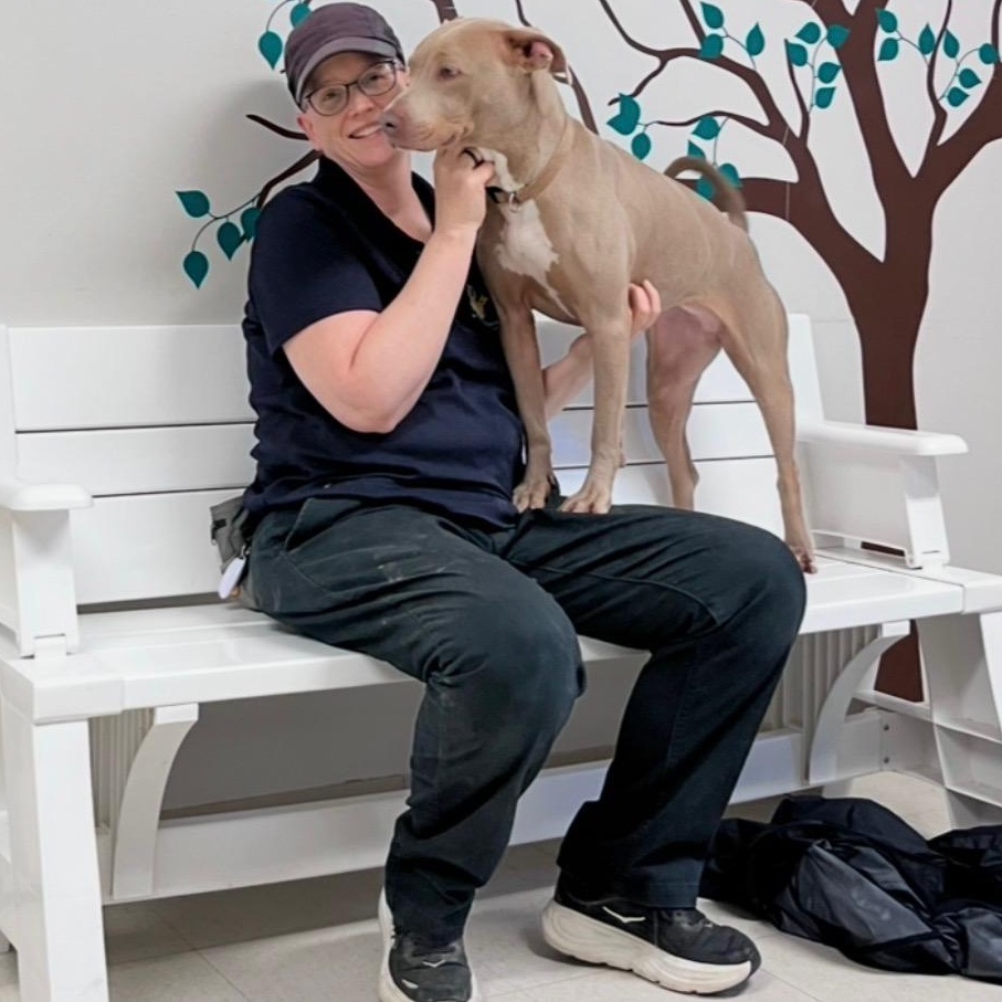 Enlarge Aspen, a Adoptable mixed breed in West Jefferson, OH image 6/6