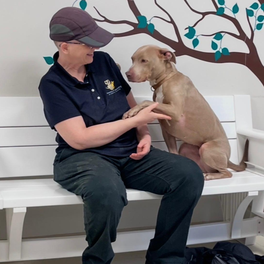 Enlarge Aspen, a Adoptable mixed breed in West Jefferson, OH image 2/6