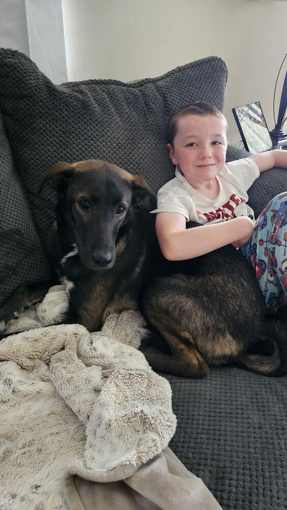 Enlarge Buddy, a Adoptable mixed breed in Willingboro, NJ image 5/6