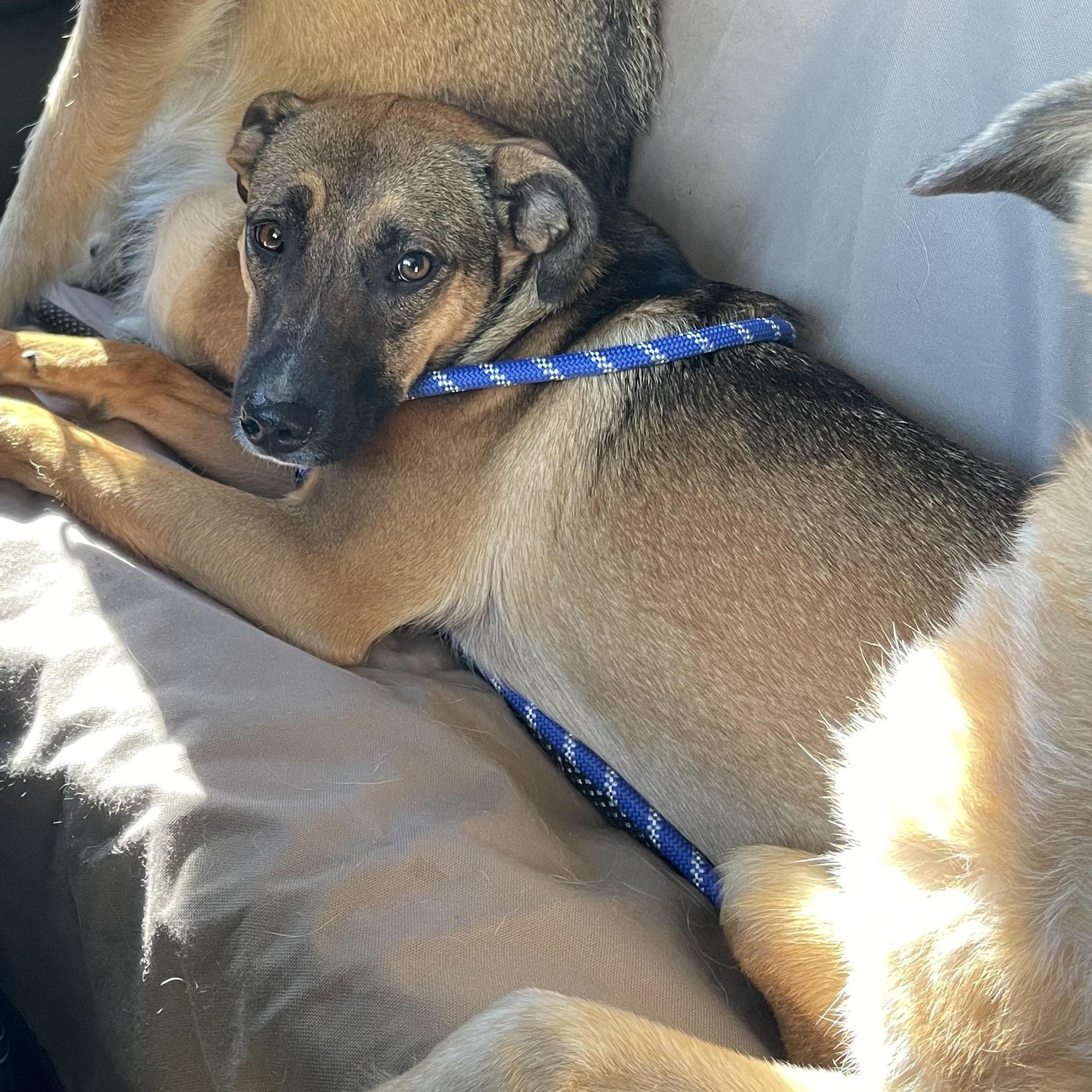 Denim Dazzle — thumbnail 5