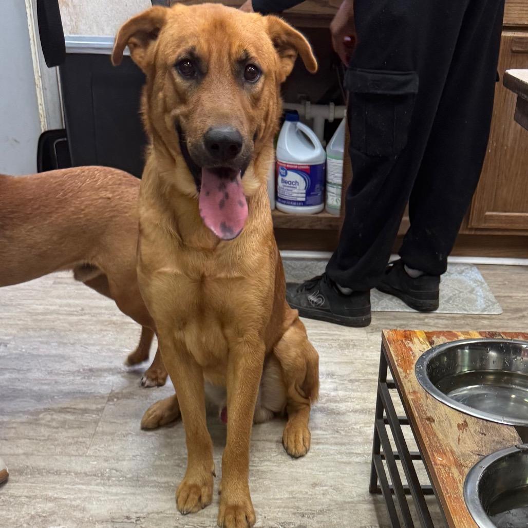 Stitch — thumbnail 2