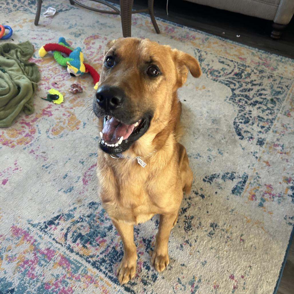 Stitch — thumbnail 3