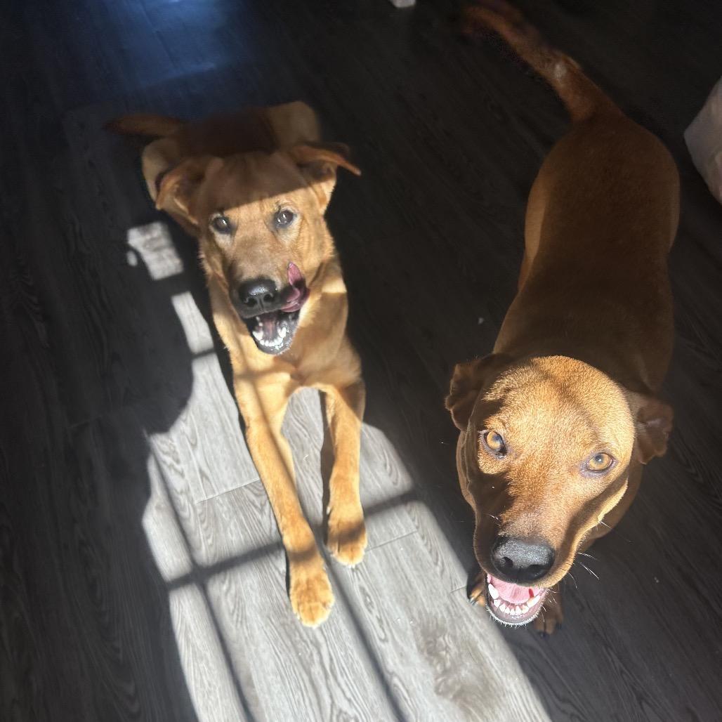 Stitch — thumbnail 4