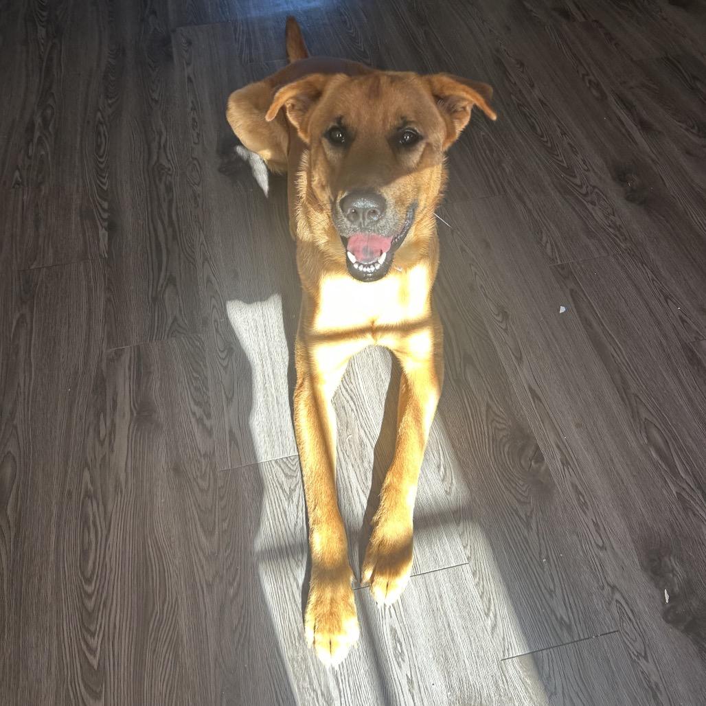 Stitch — thumbnail 5