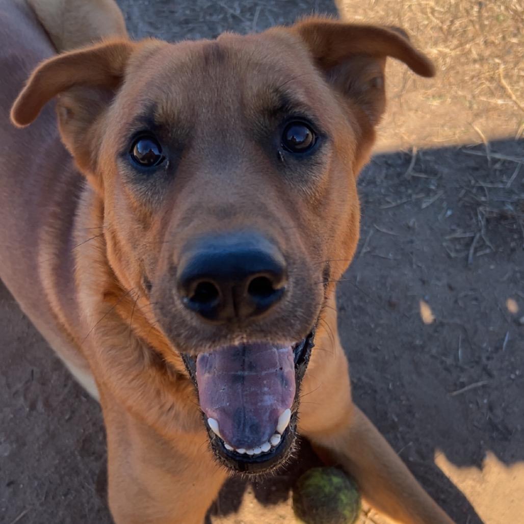 Stitch — thumbnail 6