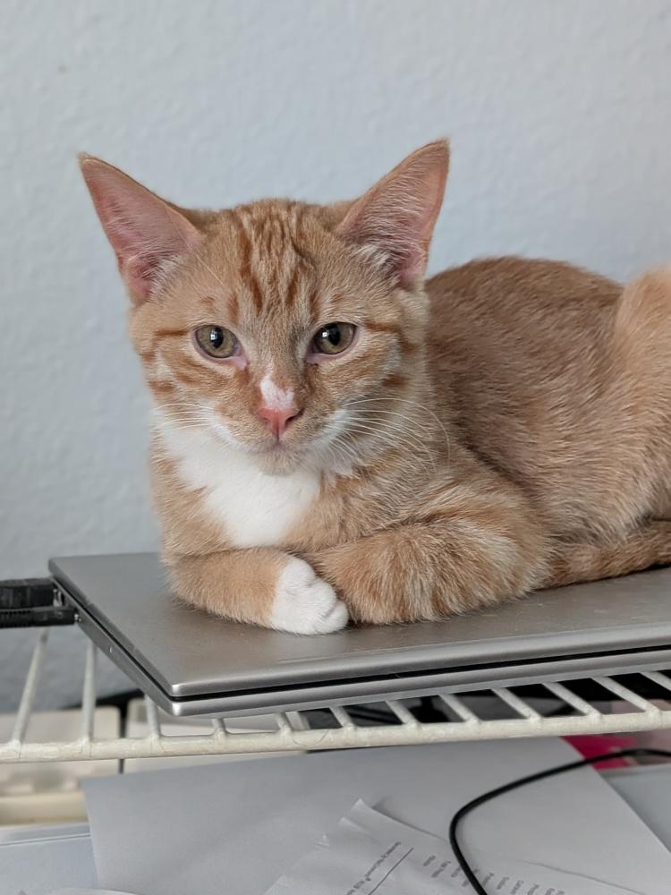 Bucket — thumbnail 3