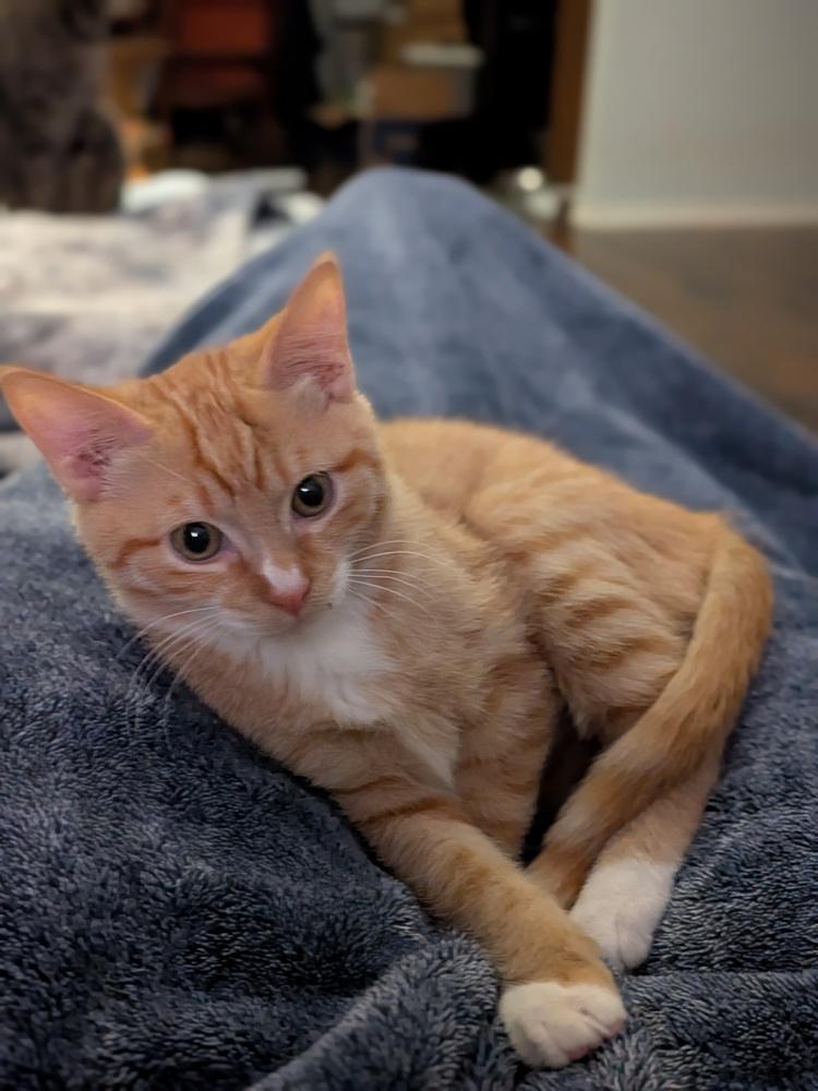 Bucket — thumbnail 4