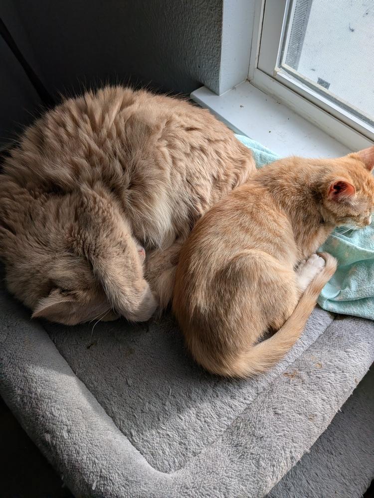 Bucket — thumbnail 6