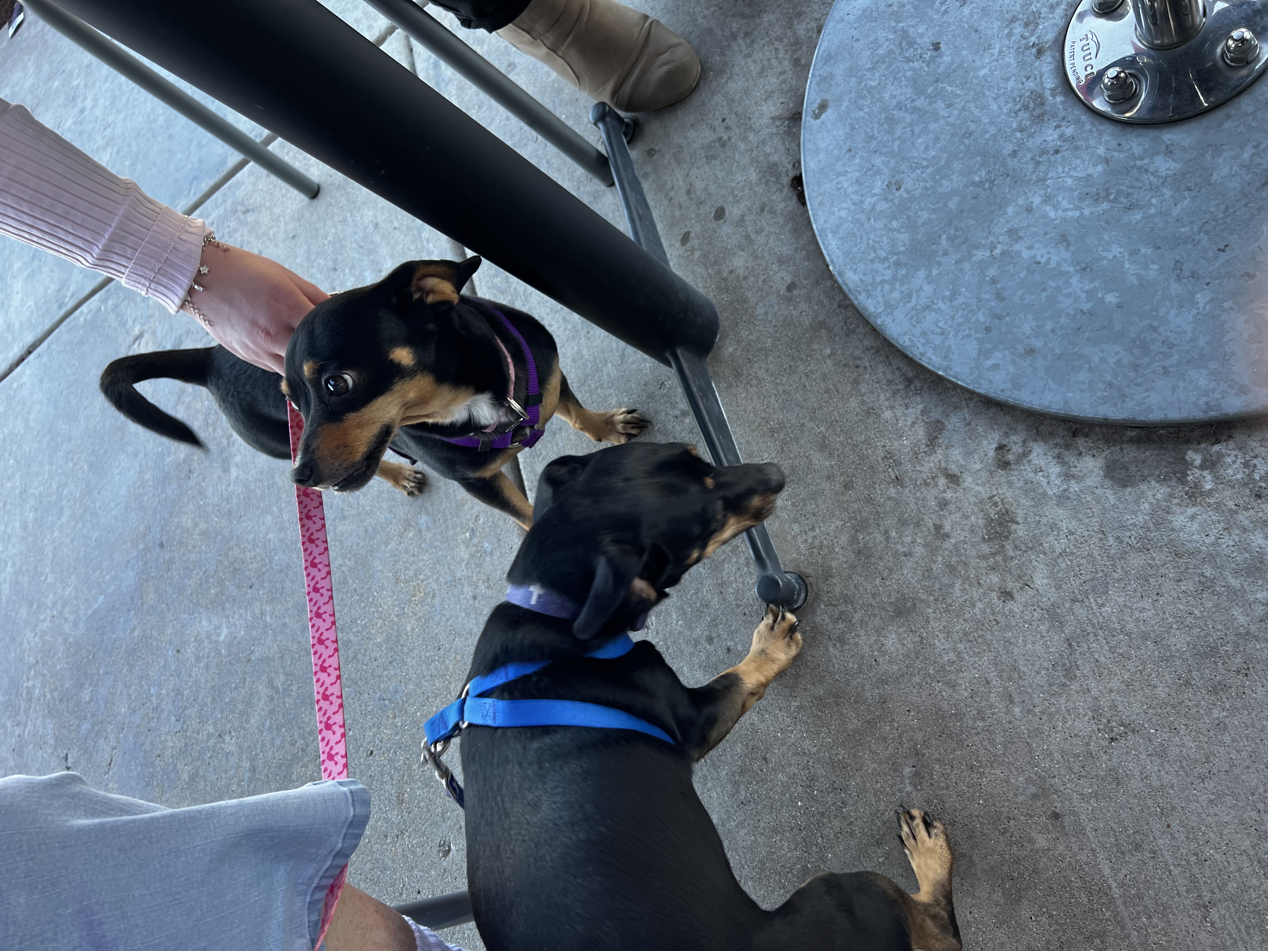 Cindy and Cass 6