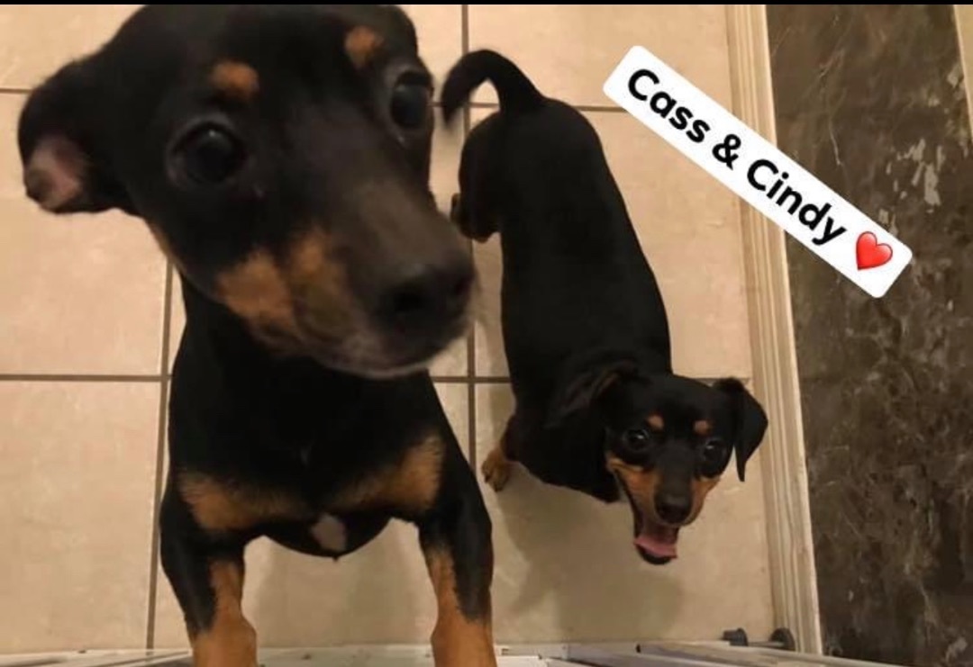 Cindy and Cass 2