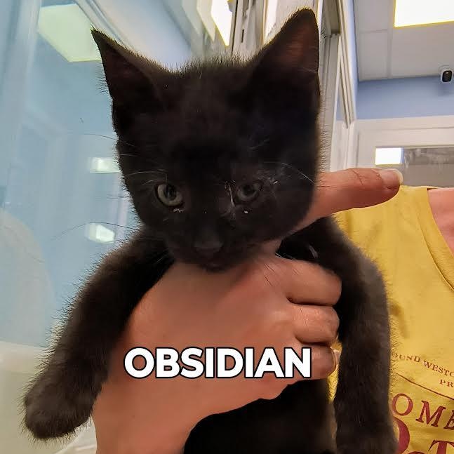 Obsidian