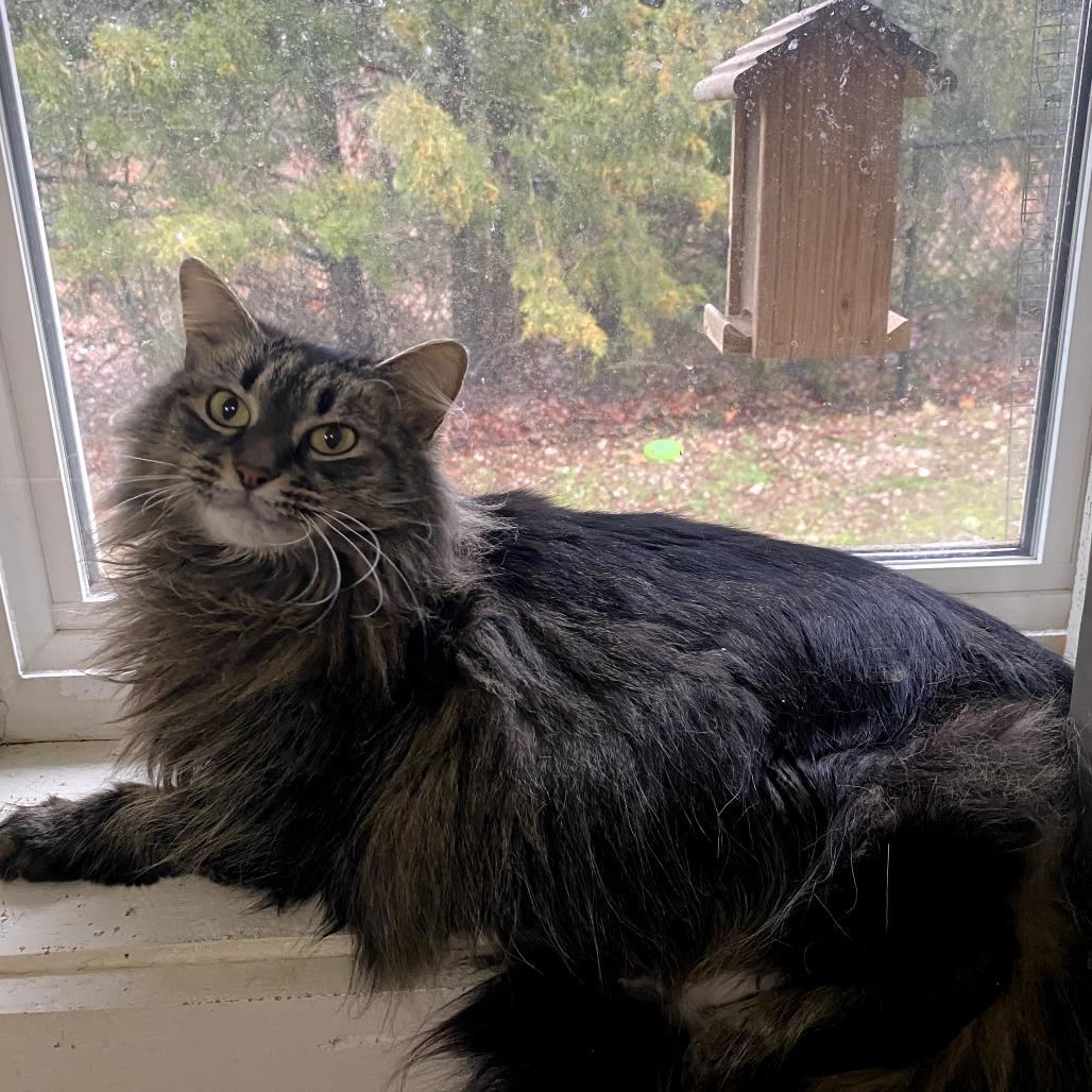 Karina — thumbnail 2