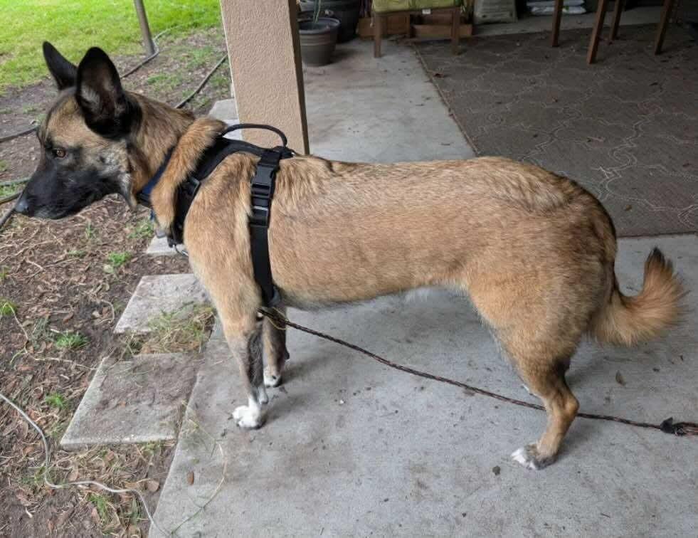 Franklin - Located in Florida