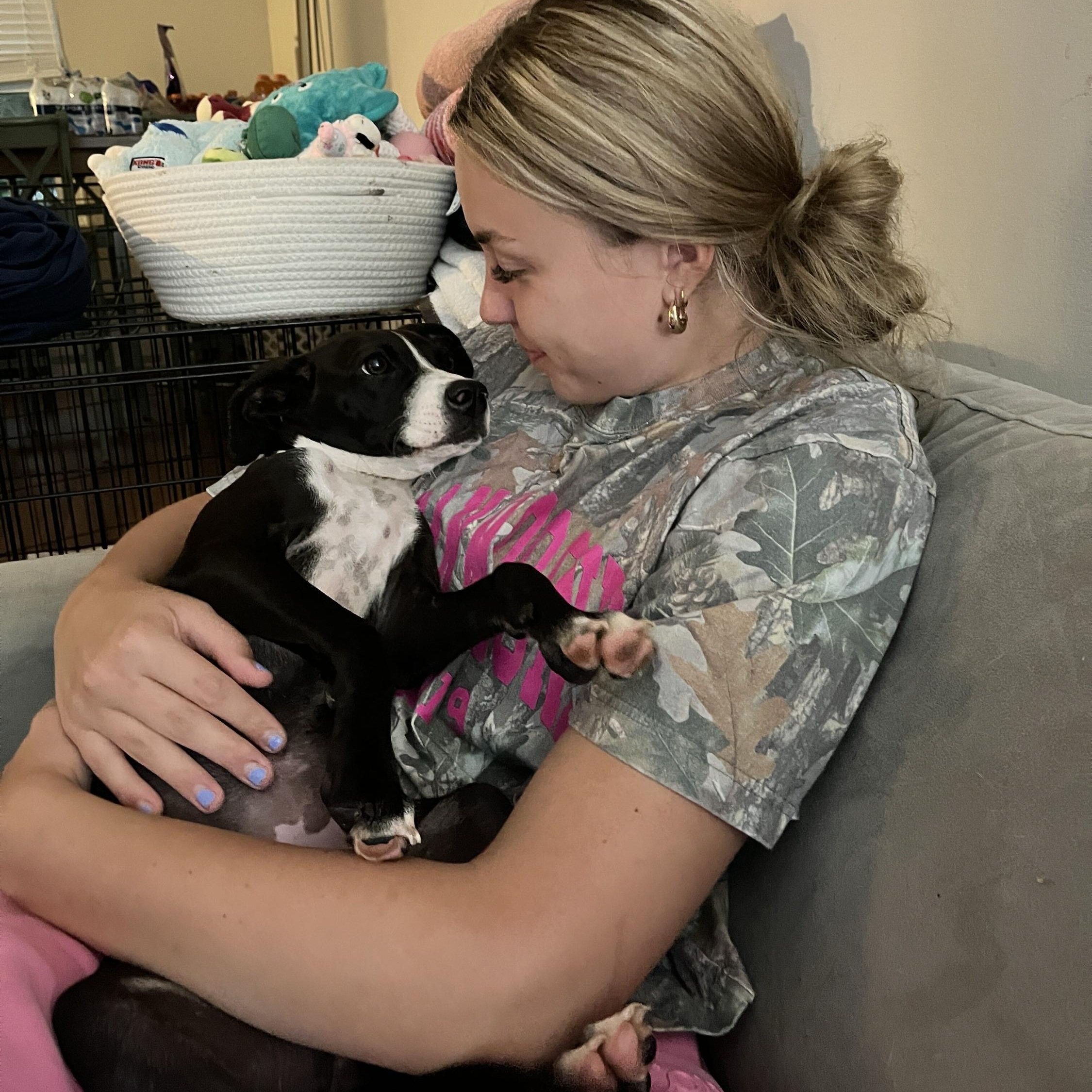 Nellie, a ADOPTABLE mixed breed in Monroe, OH image 4/6