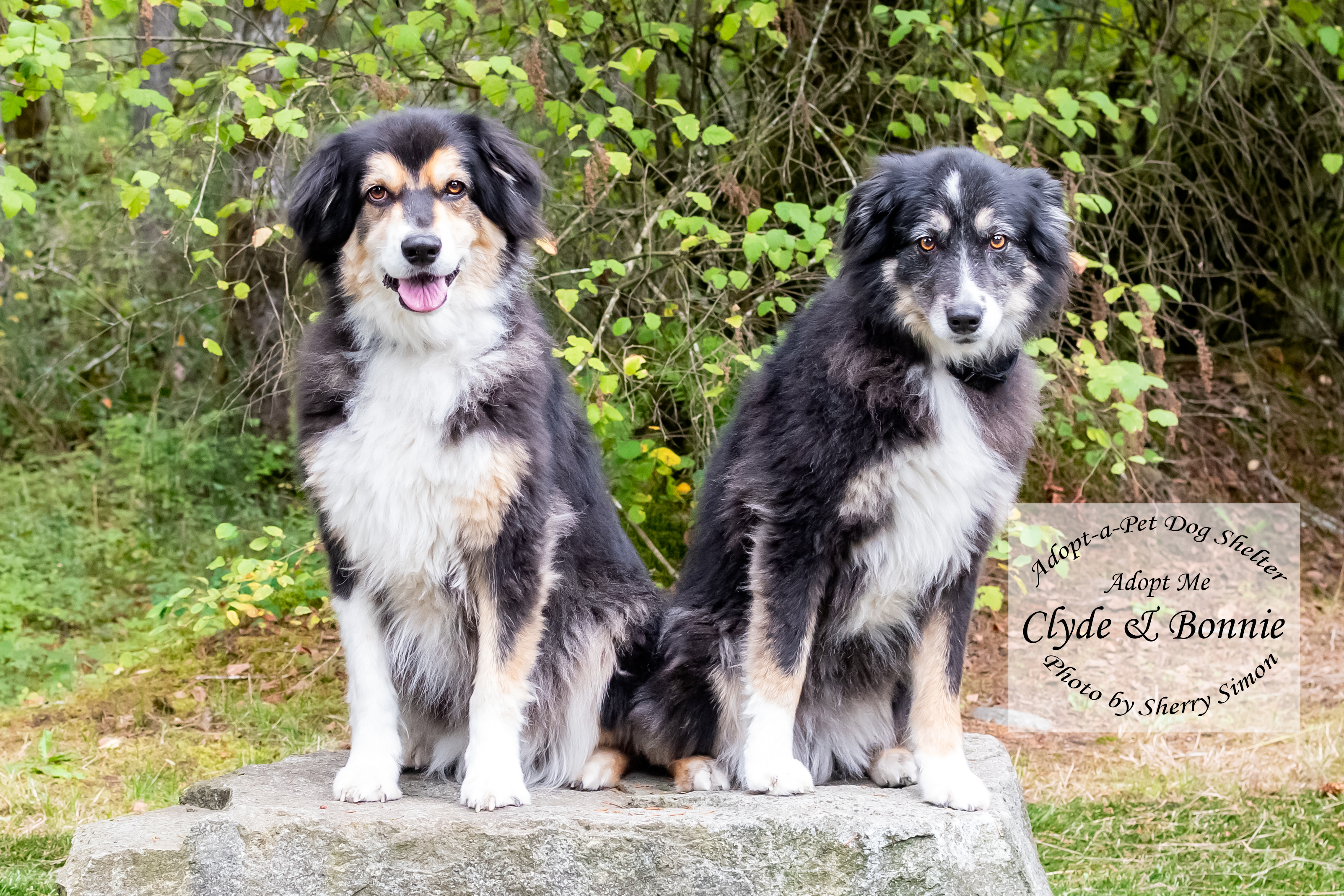 BONNIE & CLYDE photo 2