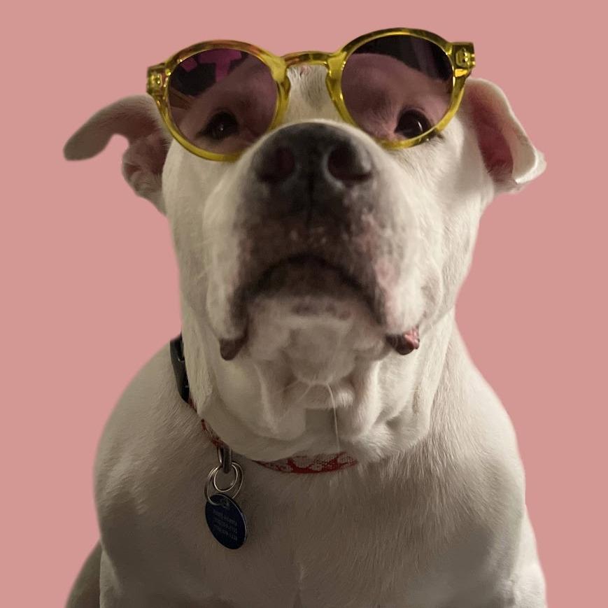 Big Papa (I Have a Secret Crush!) — thumbnail 3