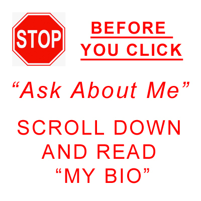 Barn Cats and Mousers, a Adoptable mixed breed in Norwalk, CT image 2/4