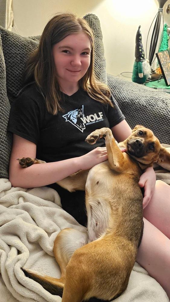 Enlarge Lola, a Adoptable mixed breed in Willingboro, NJ image 4/6