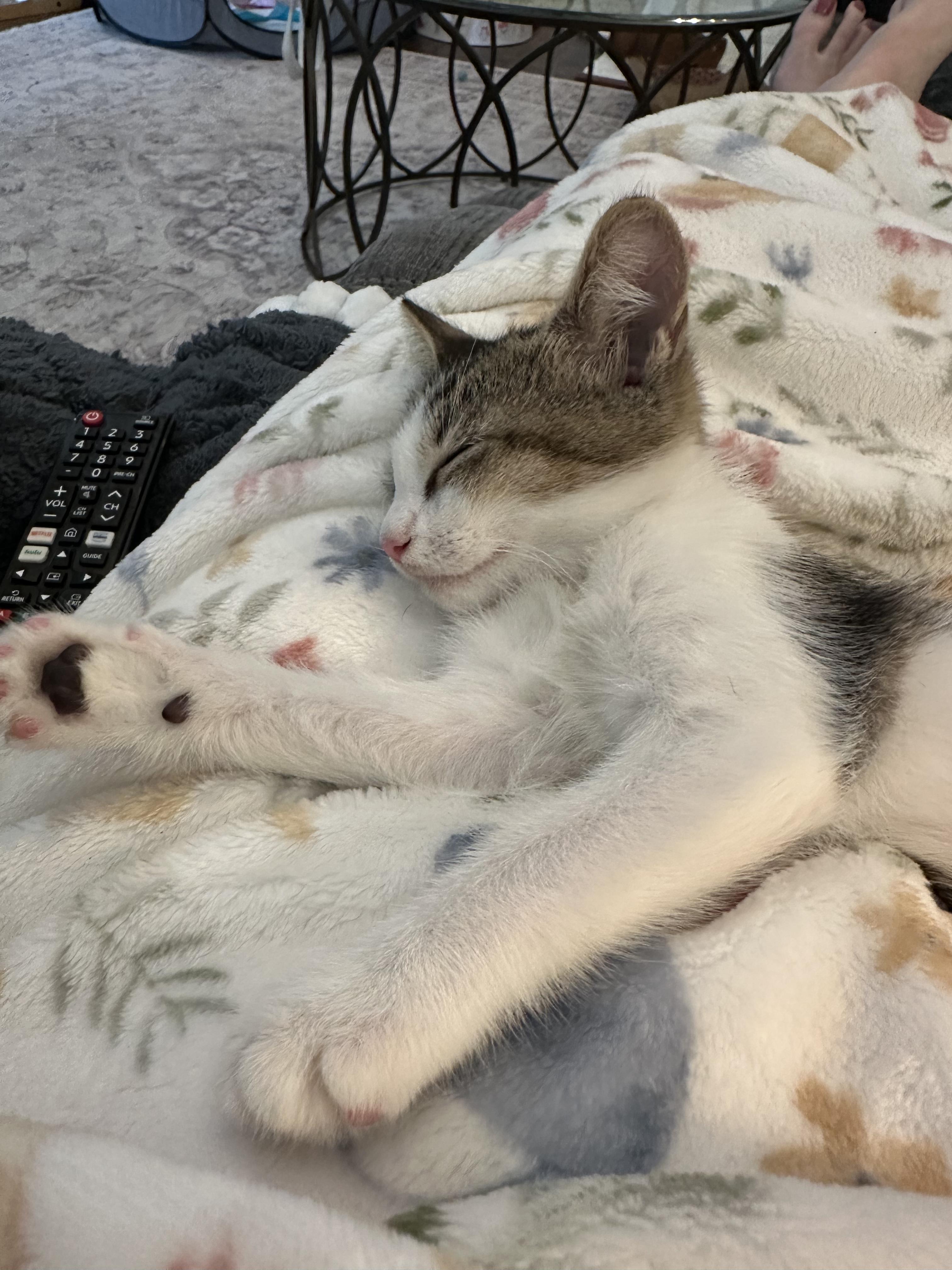 Dutch & Mac