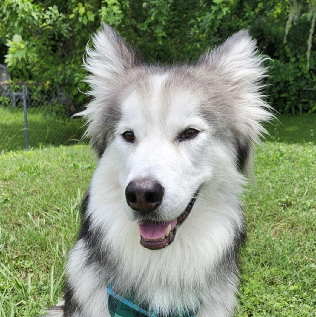 Kasper