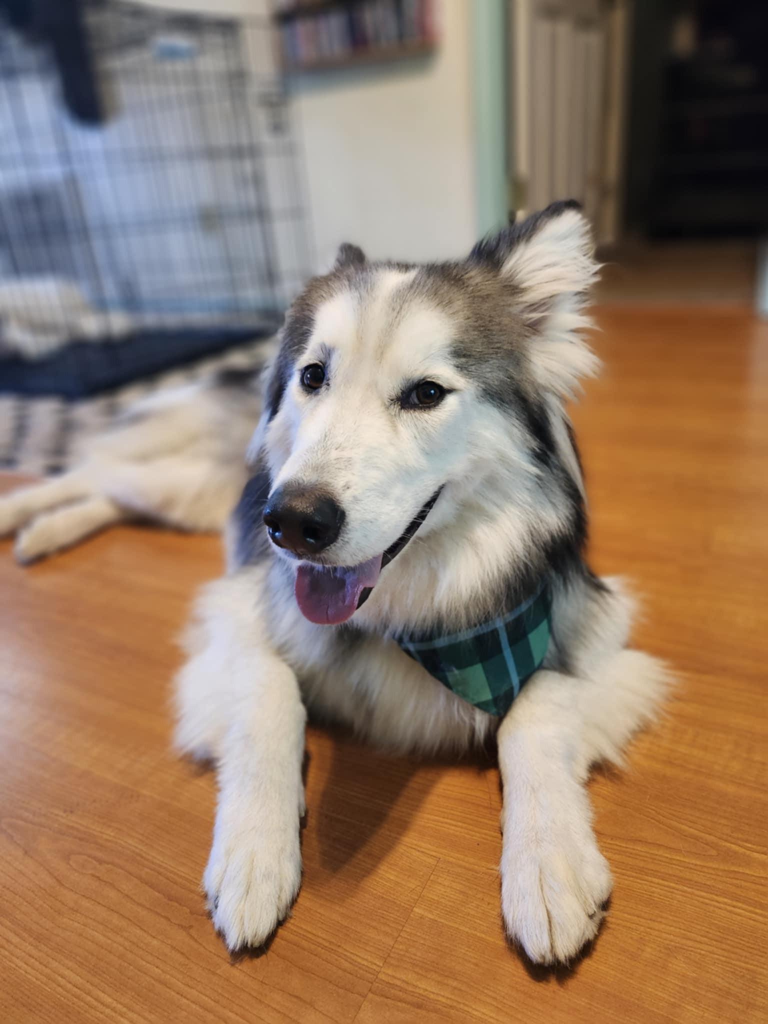 Kasper