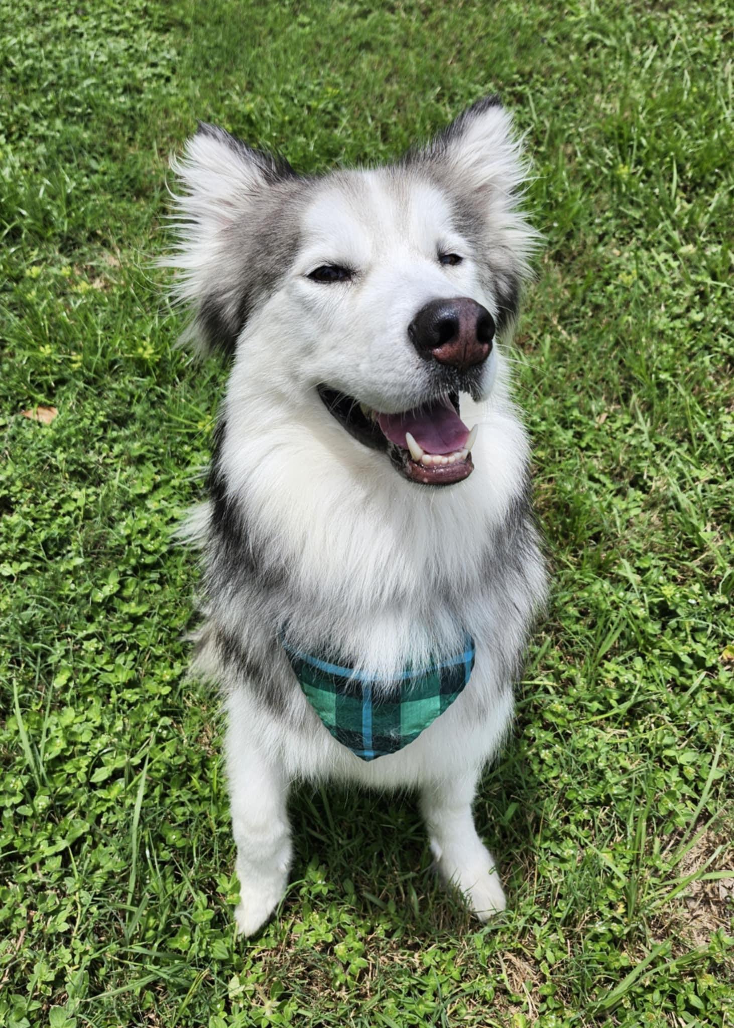Kasper