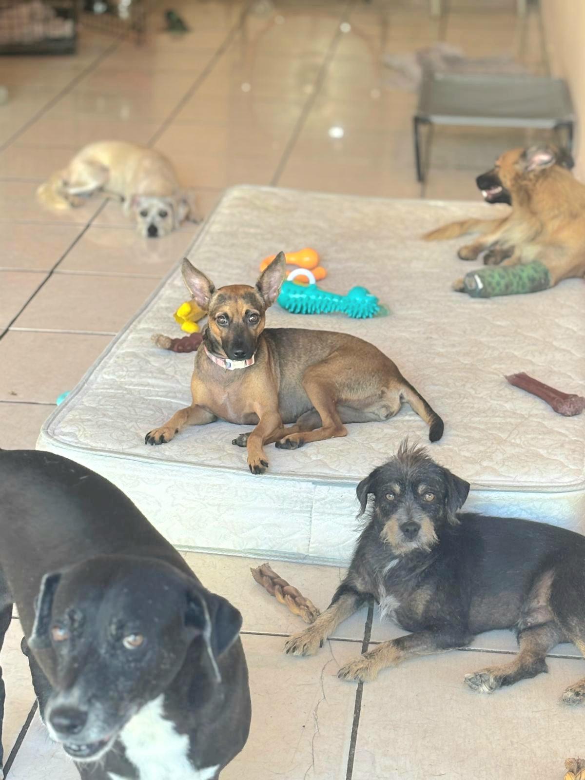 Lucia "can I Go thumbnail 3