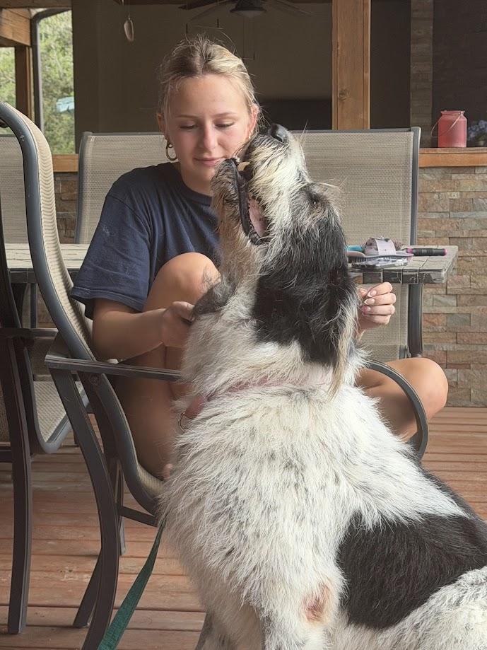 Enlarge Annie, a ADOPTABLE mixed breed in Lakeland, FL image 3/6