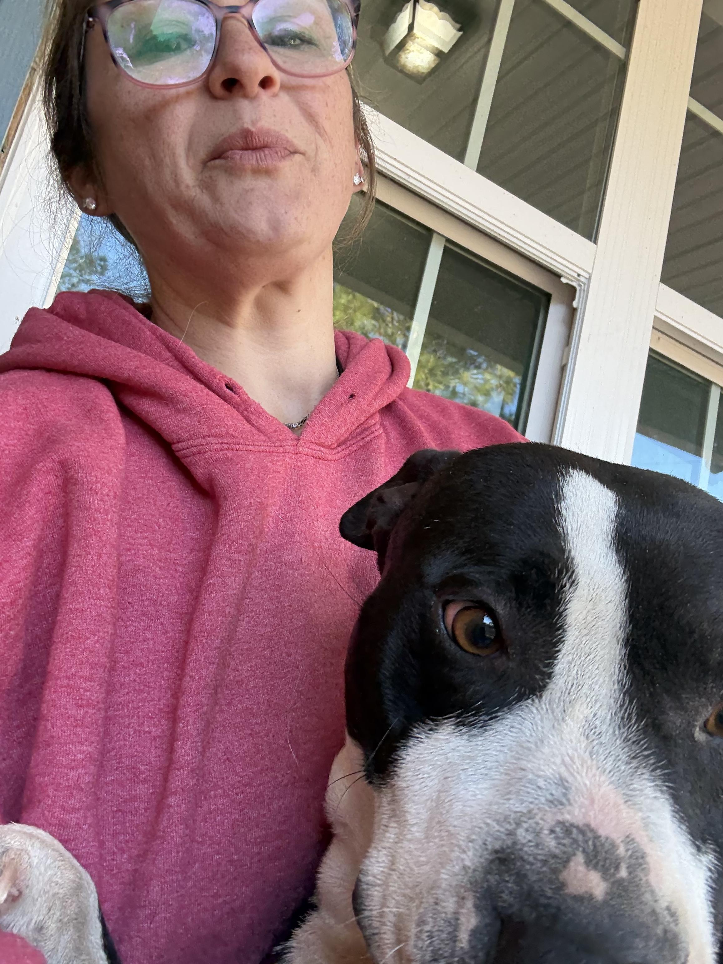 Panda, a ADOPTABLE mixed breed in Mount Croghan, SC image 3/4