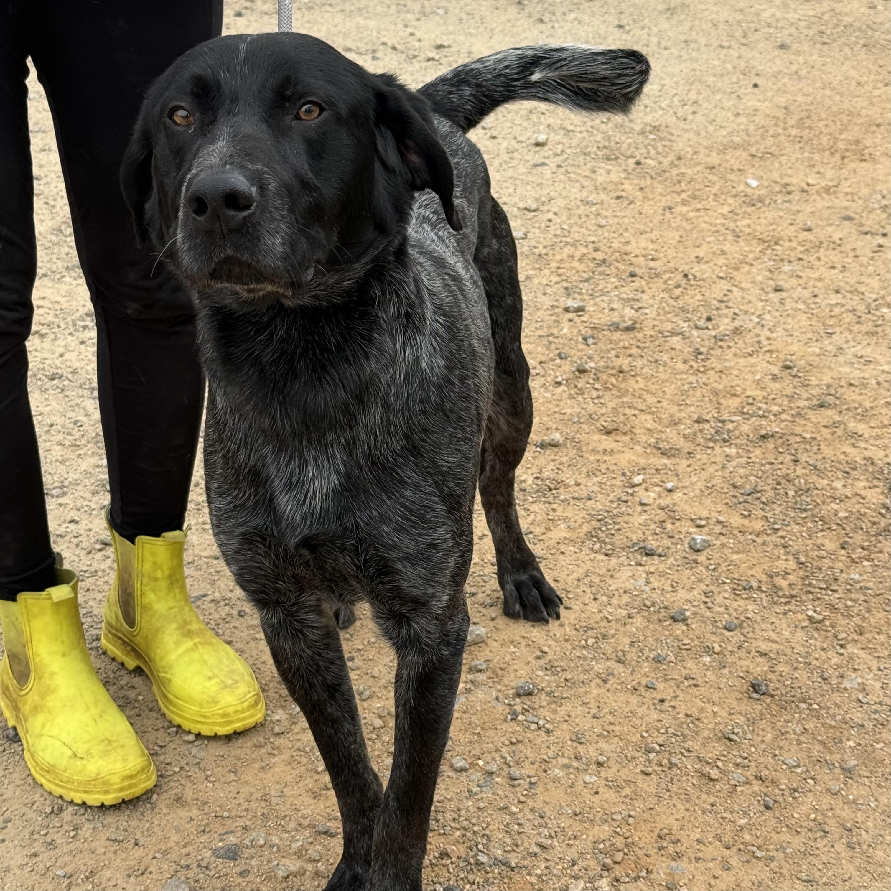 Maverick — thumbnail 5