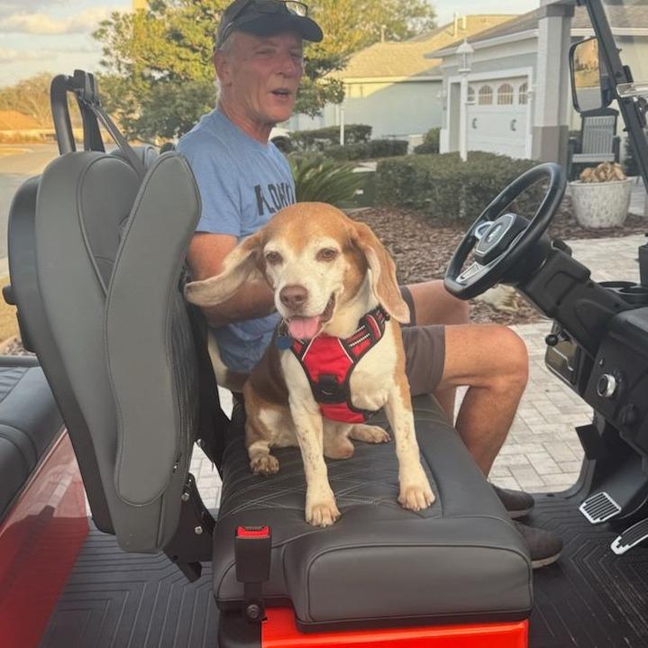Enlarge Rooster, an adoptable Beagle in Ocala, FL image 3/6