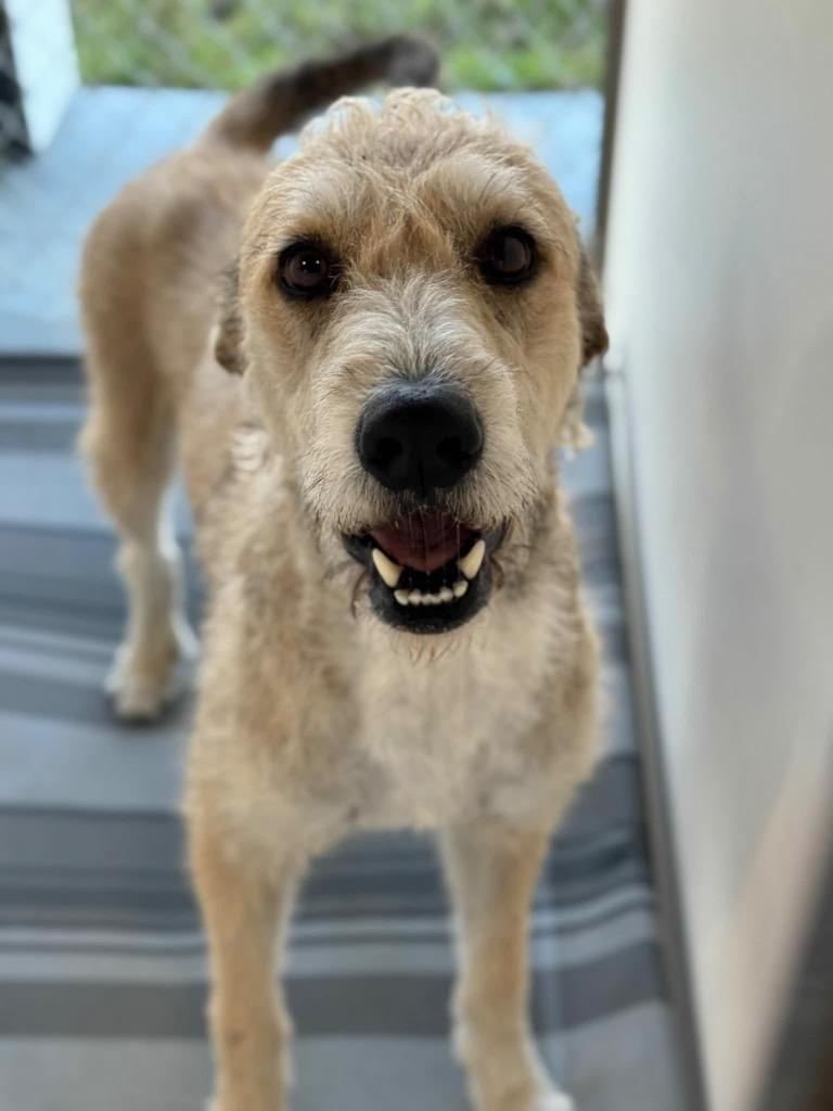 Mandy — thumbnail 2