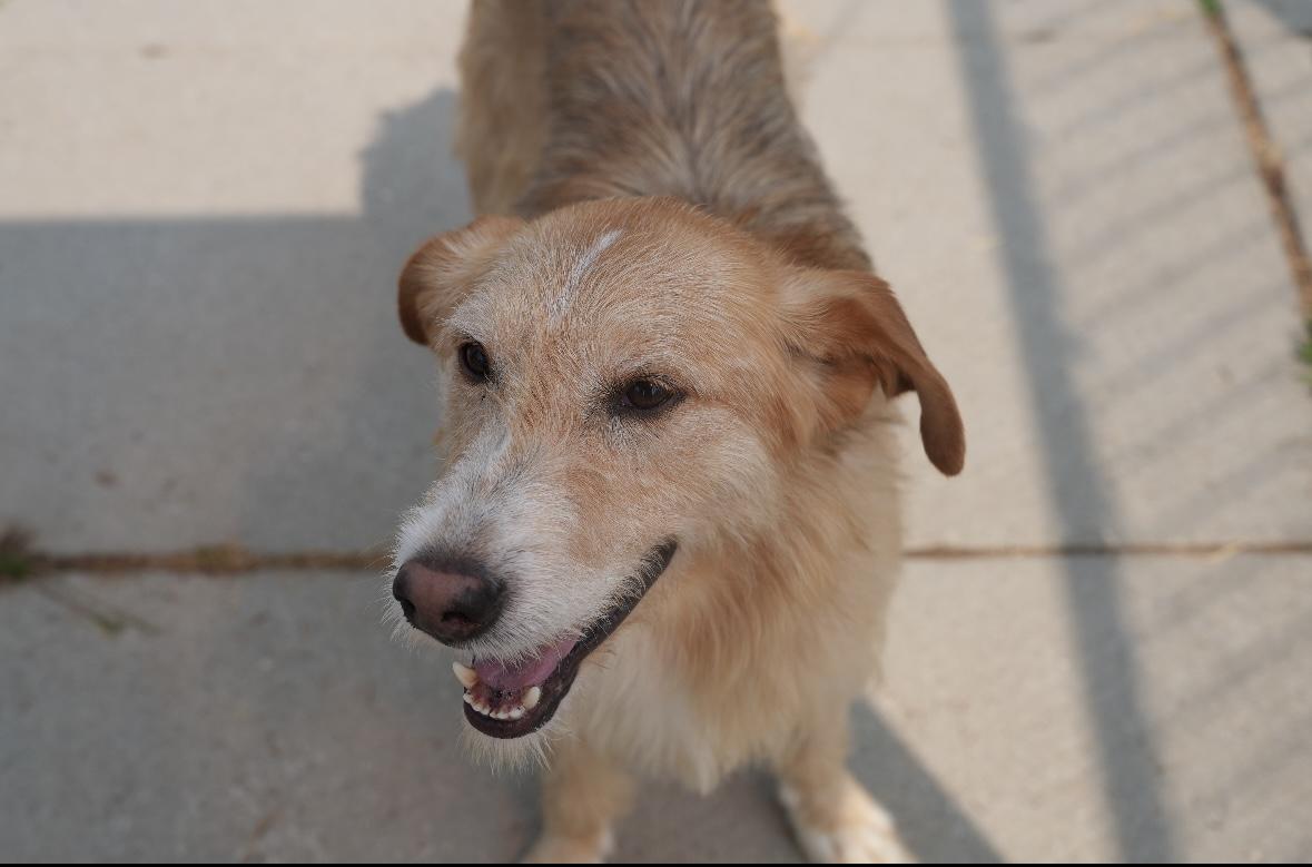 Reggie photo 4