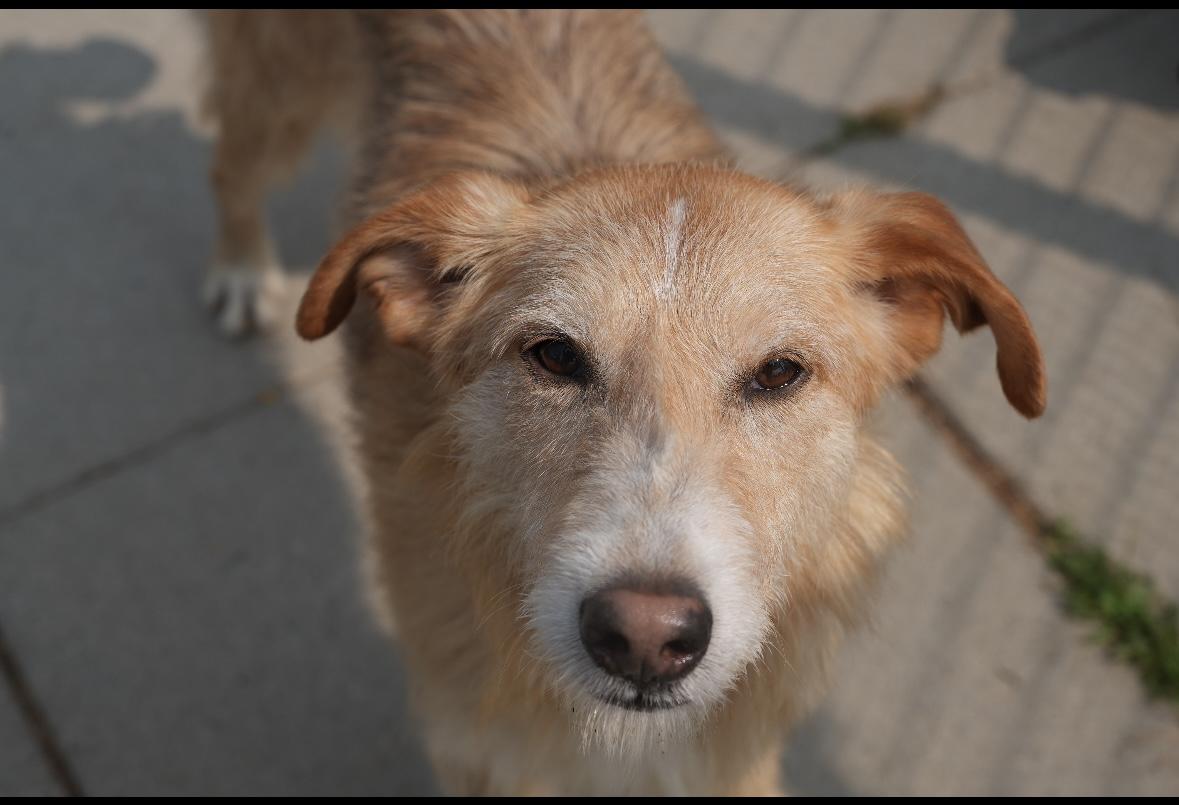 Reggie photo 3