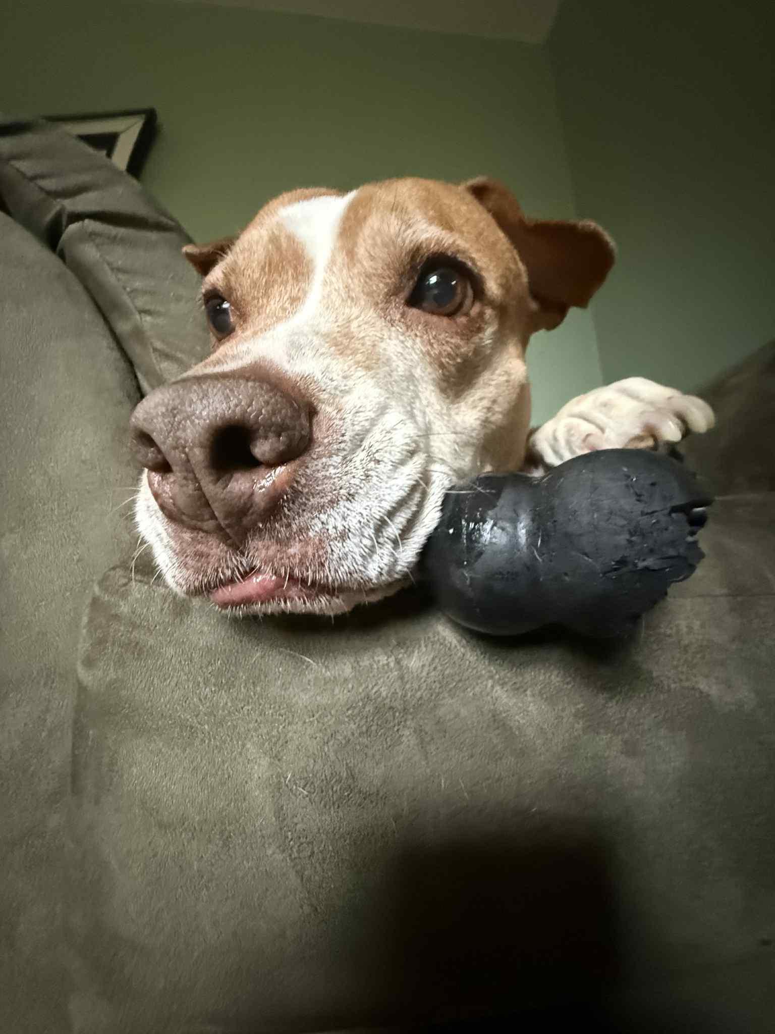 Princess — thumbnail 3